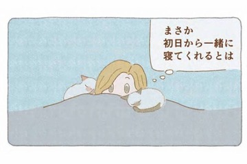 「いてくれるだけでいい」迷い猫たちと一緒に眠った夜から、家族がはじまった【夜が明けるとき猫がそばにいれば #８】 画像