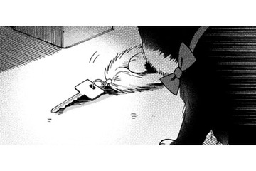 猫が何かを匂ってる… 家の鍵!? さっき帰るとき忘れていった？ 連絡先がわからない…【同居人はひざ、時々、頭のうえ。 #78】 画像