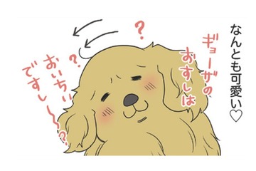 話しかけると一生懸命、聞いてくれる愛犬の仕草が可愛い 一方、愛猫の反応は…?!【おさんぽですし！　おしゃべり犬とイライラ猫の日記 #28】 画像