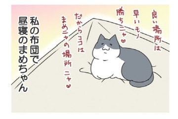 「たまらない」私の布団で昼寝してた愛猫。後に残ったほのかな温もりが至福のひととき【おさんぽですし！　おしゃべり犬とイライラ猫の日記 #32】 画像