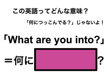 この英語ってどんな意味？「What are you into?」 画像