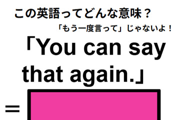 この英語ってどんな意味？「You can say that again.」 画像