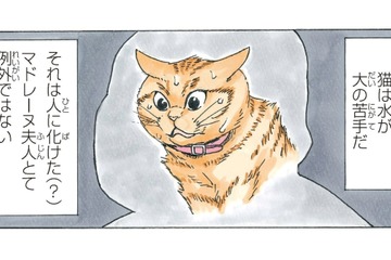 人に化けた「マドレーヌ夫人」猫は水が大の苦手というけど…水嫌いを克服できるのか!?【かのこちゃんとマドレーヌ夫人 #10】 画像