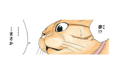 リアルすぎて夢と現実の区別がつかない！「夢のはずない」と語る犬が見た夢とは？【かのこちゃんとマドレーヌ夫人 #11】 画像