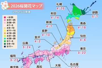 桜開花予想、東京3/22…つぼみ調査で西日本は「先が黄色に」 画像