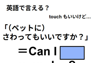 英語で「ペットに触ってもいいですか？」は何て言う？ 画像
