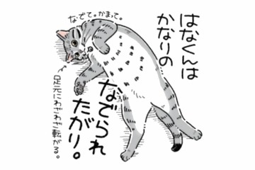 撫でられるのが大好きな猫。なで方をサボった瞬間…態度が急変!?【猫がおしりを向けてきます #３】 画像