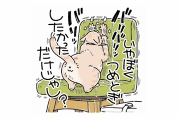 「爪とぎしただけだし？」やらかしをごまかす猫が可愛すぎる【猫がおしりを向けてきます #７】 画像