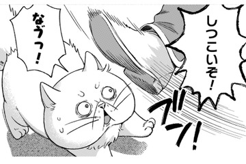 「ぶっさいくな猫だなぁ」神殿に入りたいのに、門番に冷たく追い払われる！【根暗騎士による溺愛満喫中のブサ猫、実は聖女です！#20】 画像