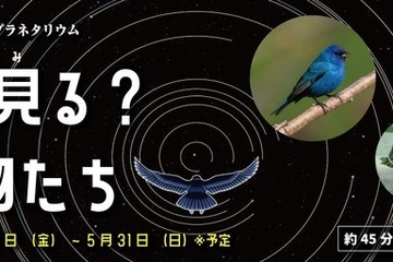 多摩六都科学館、プラネタリウム「星を見る？動物たち」5/31まで 画像