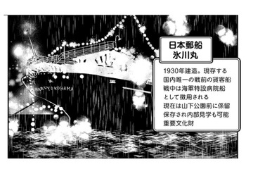 母に見せたかった氷川丸。いつか船に乗ろうねと約束して中華街へ。早く母を休ませてあげたい…【小鳥をつれて旅にでる #11】 画像