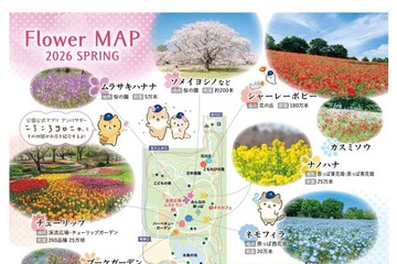 【GW2026】フラワーフェスティバル、国営昭和記念公園5/24まで 画像