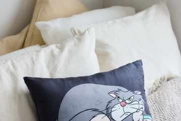ルシファーのクッションも！「mysty woman」WEB限定『シンデレラ』コレクション発売 画像