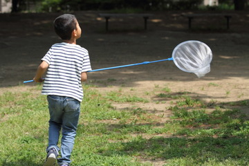 〔怒涛の中学受験〕偏差値より「セミの幼虫探し」ができる小学校生活を守った母の決断 画像