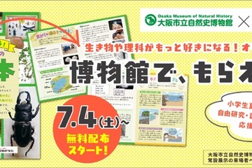 【自由研究2026】植物・貝がら・昆虫の標本づくり冊子を無料配布…大阪市立自然史博物館 画像
