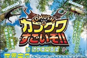 【夏休み2026】世界の人気昆虫が大集合…けやきひろば7/18 画像