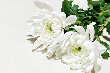 元A.R.Bギタリスト白浜久さん死去 享年69 福山雅治デビューアルバムなど手掛ける 画像