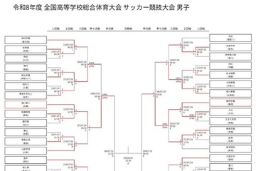 高校サッカー男子インターハイ、4強に近大附属と大津 画像