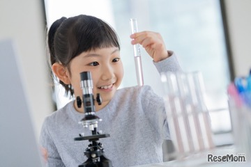 自由研究離れ「やらない」3割、小3以上で倍増 画像