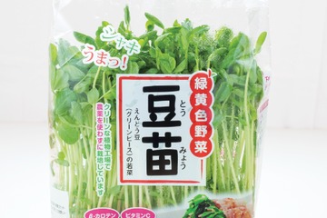 その豆苗、本当に新鮮？ プロが教える「おいしい豆苗」の見分け方と長持ちさせる保存術 画像