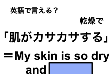 英語で「肌がカサカサする」は何て言う？ 画像
