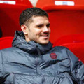 イカルディ、ゴリラと会う