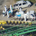 鳥インフルエンザの感染が確認された和歌山県白浜町のアドベンチャーワールドに集まった関係者ら＝11日午前9時29分（共同通信社ヘリから）