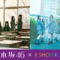 乃木坂46（提供写真）