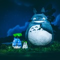 トトロ（C）Hayao Miyazaki