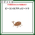 クイズです！「カブトムシで解ける暗号」って何？分かると気持ちいい【難易度LV３.・中辛】 画像