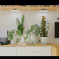 部屋に置かれた観葉植物の花瓶は、Matthewさんがデザインし、この3Dプリンタで出力したものだ。