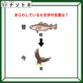 クイズです！イラストから言葉を考えてね。ジョークのセンスも問われるかも【難易度LV２.・甘口】