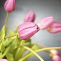 「胸の違和感、我慢しないで」薬剤師が教える、更年期に効く“やさしいケア”の選び方