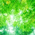 画像はイメージです