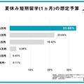 夏休み短期留学（1か月）の想定予算