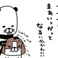 「夢や希望」なくしたのは、いつだっけ？  そんな思いも帳消しにしてくれる存在【パンダと犬 ＃８】