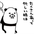 忙しい時こそ愛犬を捕まえて「やりたくなる意外な行動」とは？【パンダと犬 ＃21】 画像