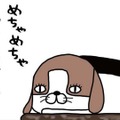 大仕事がひと段落！愛犬に見せたくてたまらない景色とは？【パンダと犬 ＃22】