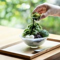 絹氷 贅沢抹茶1,370円（税込）／提供画像