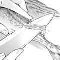 14歳の女中さんがつく作るアジの南蛮漬け。昔の丁寧な暮らしって素敵【うちのちいさな女中さん #15】 画像