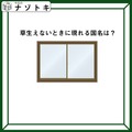 クイズです！「草生えないときに現れる国名は？」どういう意味か考えてみましょう【難易度LV３.・中辛】 画像
