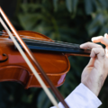ウィーンを歩いていると…→「すごい！」思わず”立ち止まるの光景”に「さすが音楽の都」