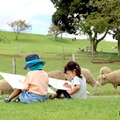 マザー牧場、小学生対象「写生大会」9月-11月 画像