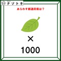 クイズです！「この図があらわす都道府県はどこ？」葉のイラスト×1000の意味を考えましょう【難易度LV２.・甘口】 画像