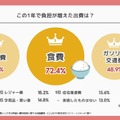 この1年で負担が増えた出費