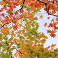 【中学受験】来月行ける中高一貫・男子校「学校見学」11月…海城、渋幕など 画像