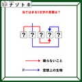 クイズです！「ドから始まる空想の生物って？」ハテナに文字を当てはめて言葉を導きましょう【難易度LV３.・中辛】 画像