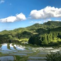 鴨川の大山千枚田（提供写真）