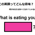 この英語ってどんな意味？「What is eating you?」 画像