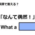 英語で「なんて偶然！」は何て言う？ 画像